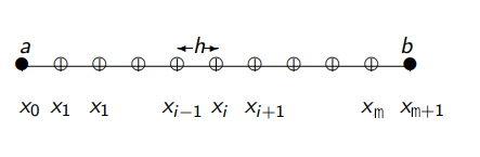 1D uniformily discretized domain.